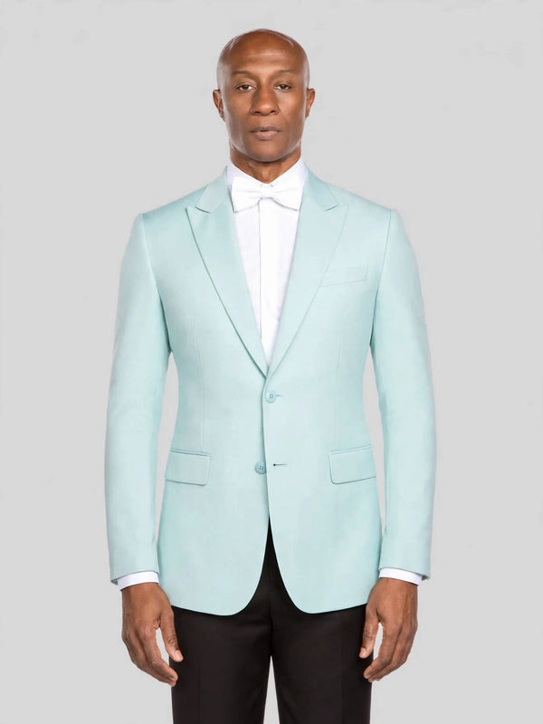 Aqua Two-Button Peak-Lapel Suit Jacket - cover